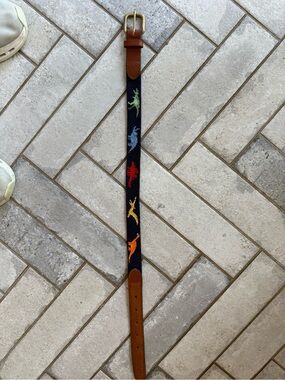 Kids Navy Belt with Colorful Dinosaur Embroidery